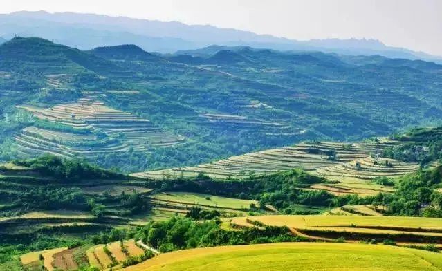 跨越千山万水只为遇见你歌曲,跨越千山万水只为追寻