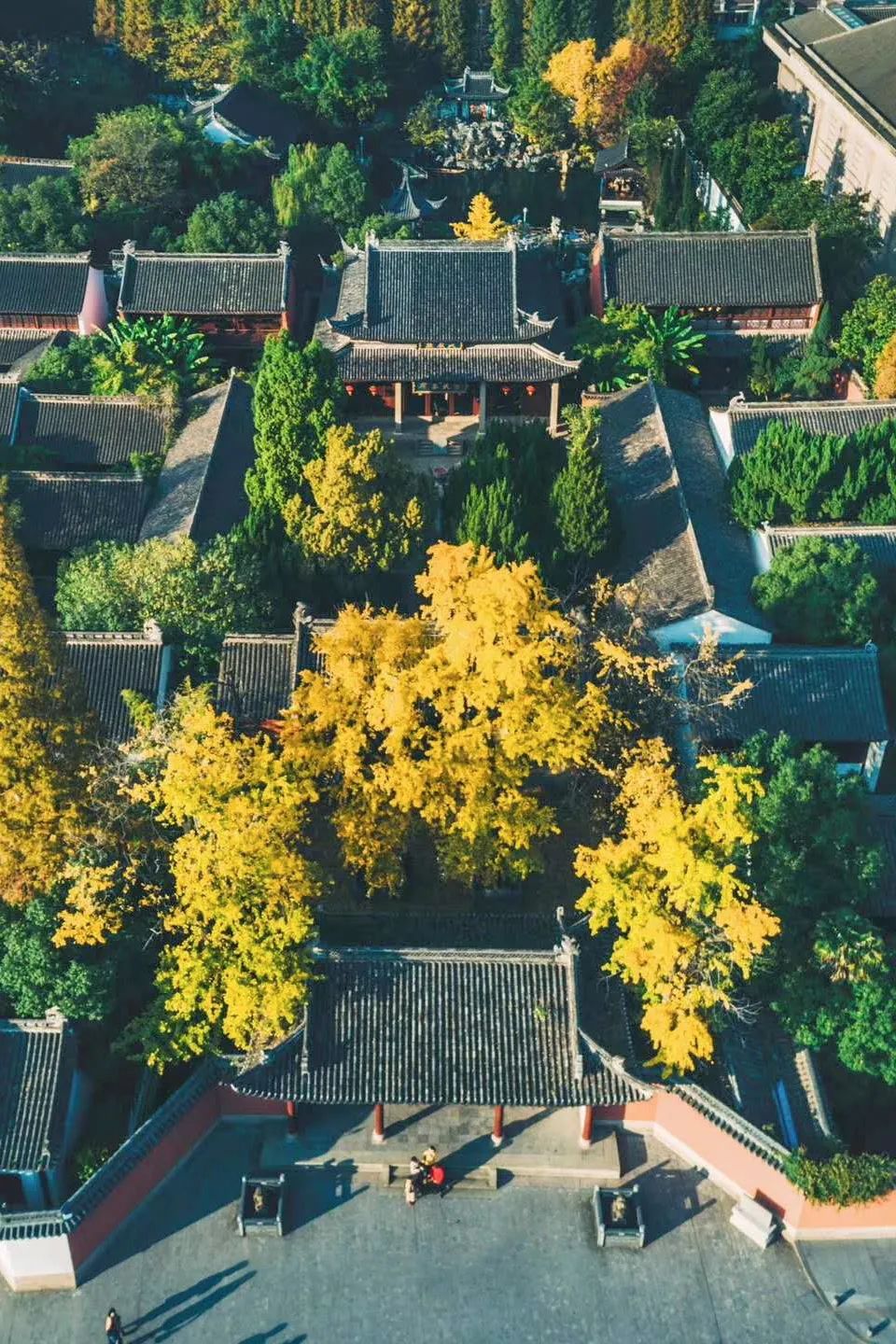 浙江衢州在浙江什么位置,浙江衢州为什么这么重要