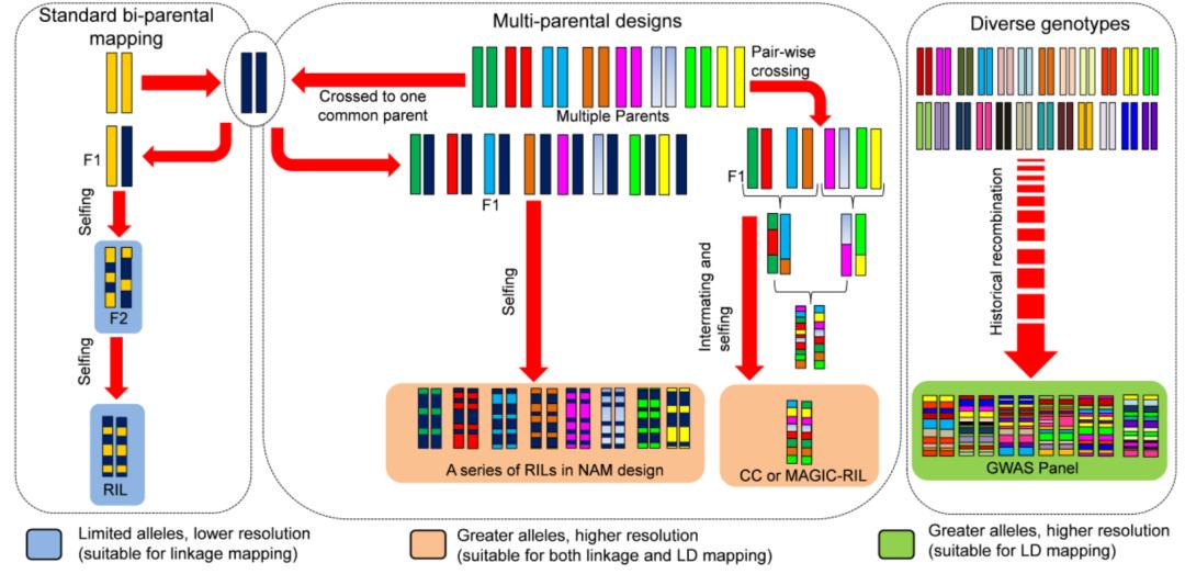 PBJ长文综述｜植物基因组测序、基因编辑等前沿技术的持续突破助力现代农业迅速发展