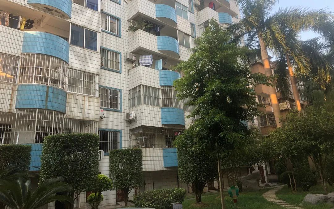 南宁22岁儿子杀父母案件结果,广西南宁大学生杀人事件