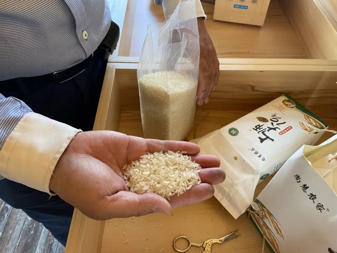5年培育、全市首个！金山种植的这个“优质物”未来将推广至全国！