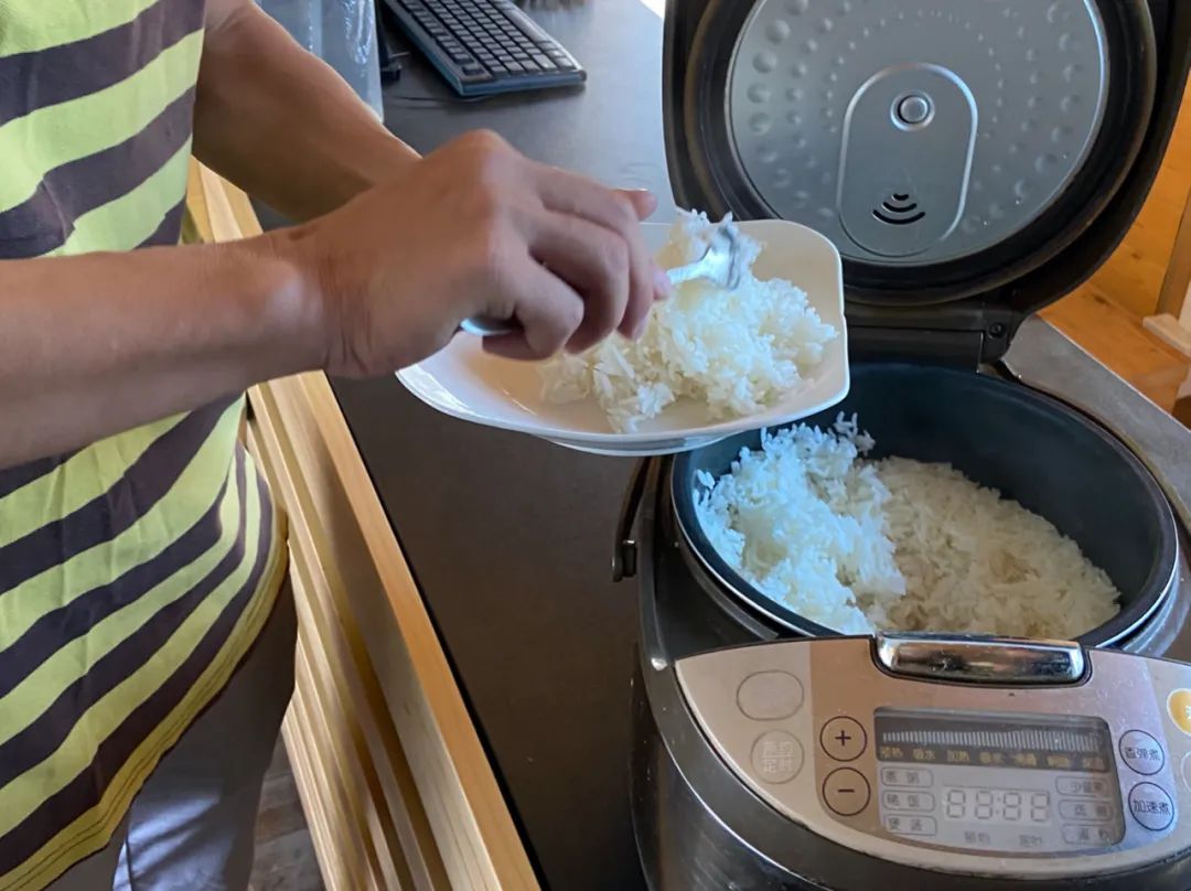 5年培育、全市首个！金山种植的这个“优质物”未来将推广至全国！