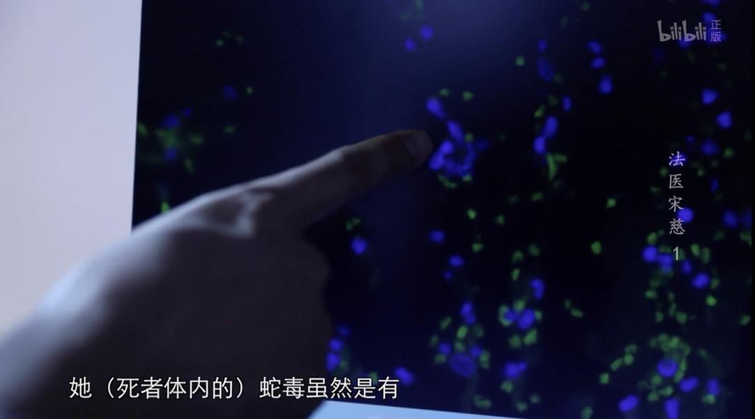 大宋法医宋慈纪录片,法医宋慈类似纪录片