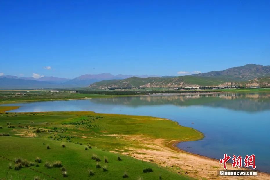 今日白露美句美文,今日白露完整版歌