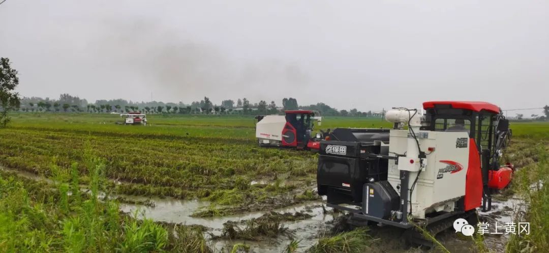 关注防汛抗洪形势,黄冈防汛救灾