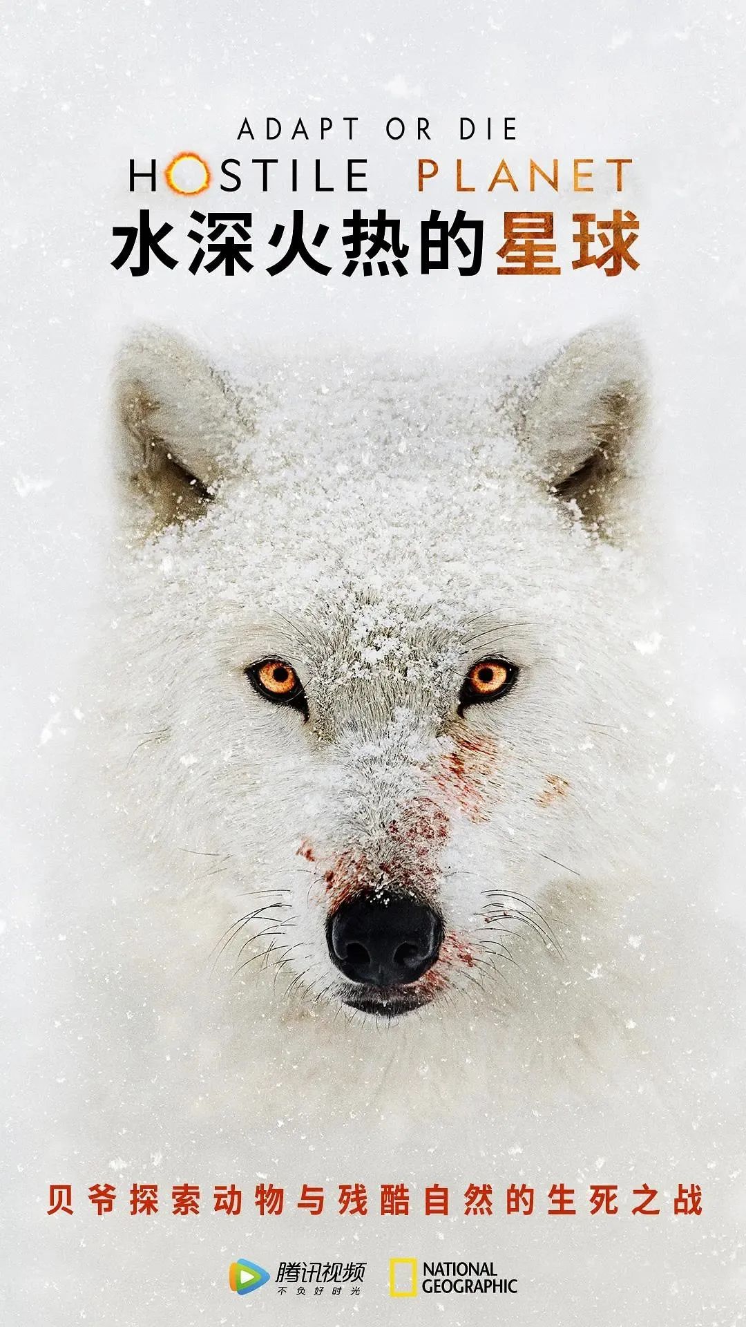 贝尔格里尔斯野外求生专家,野外求生专家贝尔格里尔斯的经历