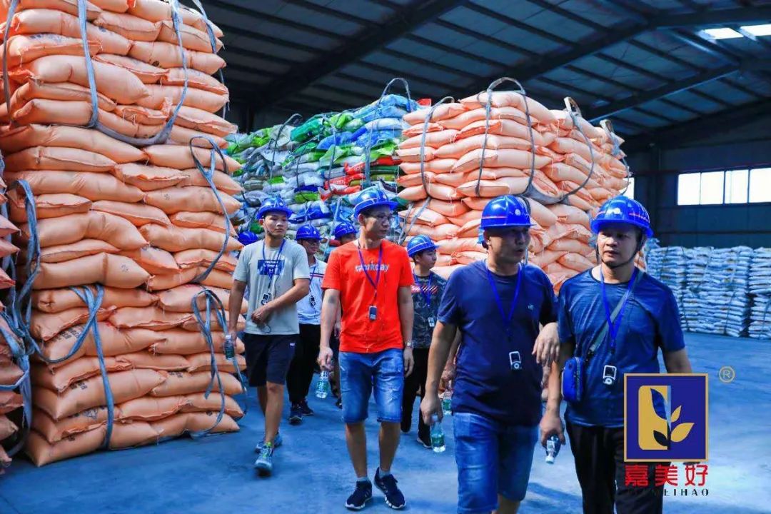 广东嘉美好进出口,广东嘉美好公司