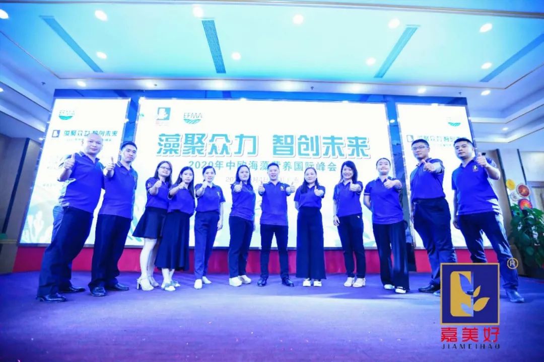 广东嘉美好进出口,广东嘉美好公司