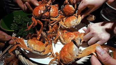 谢蟹有你肉蟹煲优惠券,谢谢有你完整视频