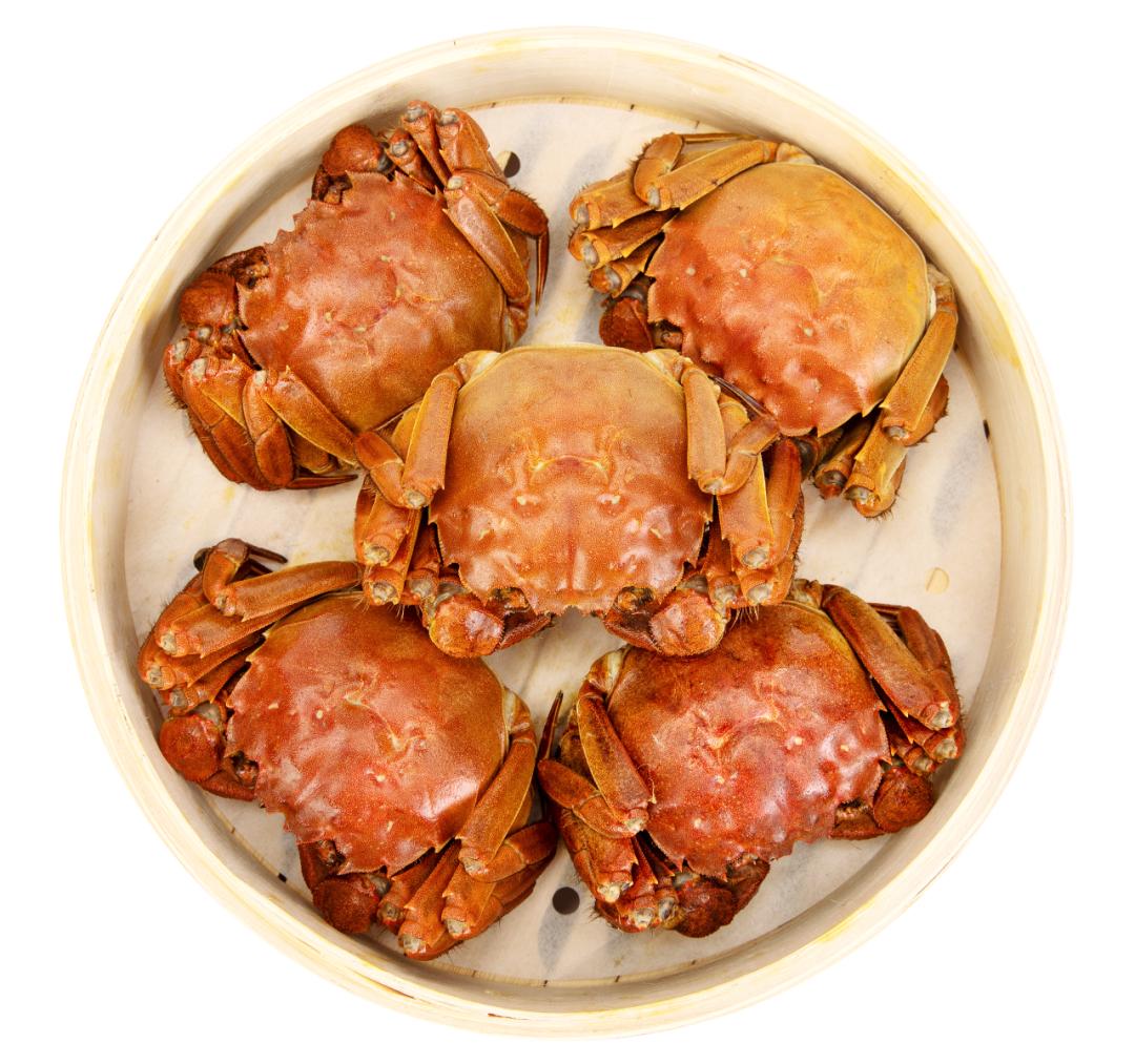 谢蟹有你肉蟹煲优惠券,谢谢有你完整视频