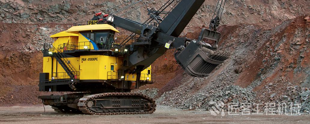 灏忔澗鍝佺墝,灏忔澗宸ョ▼鏈烘甯傚満