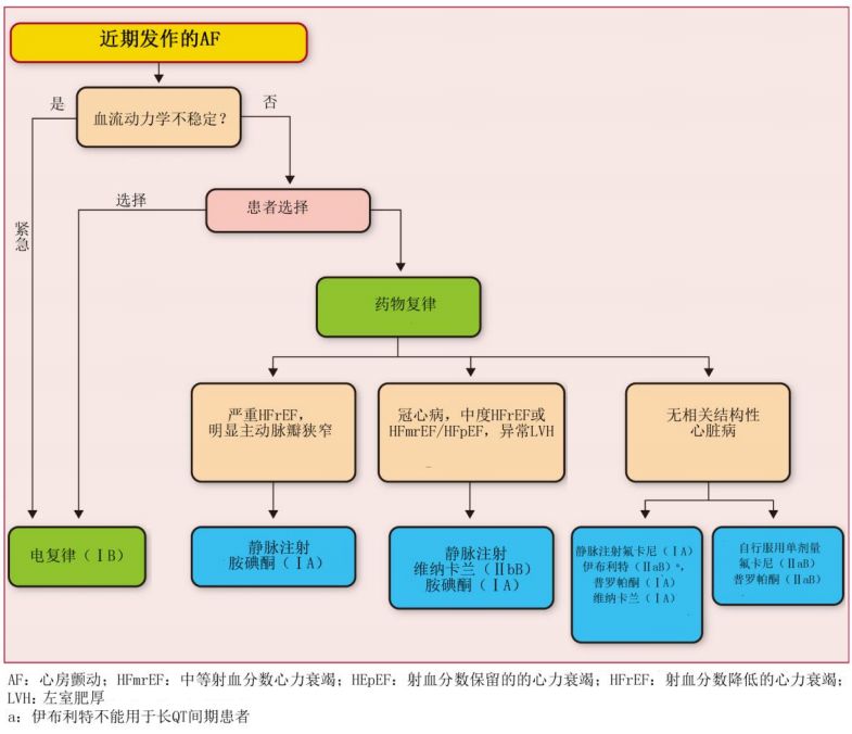 抗心律失常最好的中成药,房颤手术前要停抗心律失常药物