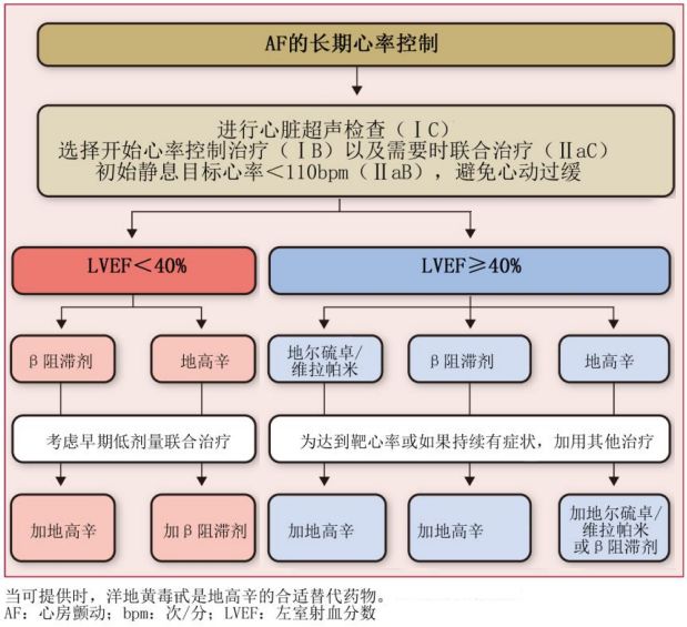 抗心律失常最好的中成药,房颤手术前要停抗心律失常药物