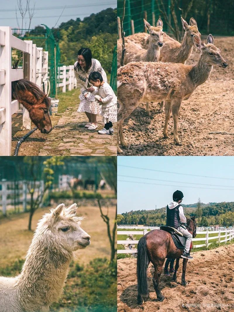 酒店控必住酒店,酒店控必备