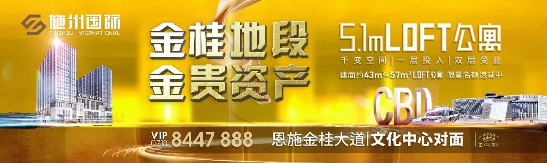 恩施市公立医院有哪家,恩施大型公立医院