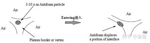 头发太脏洗发水不起沫,洗头发洗发水在头发上不起泡