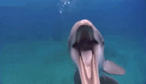 怎么改善憋屁坏习惯,如何科学有效的憋屁