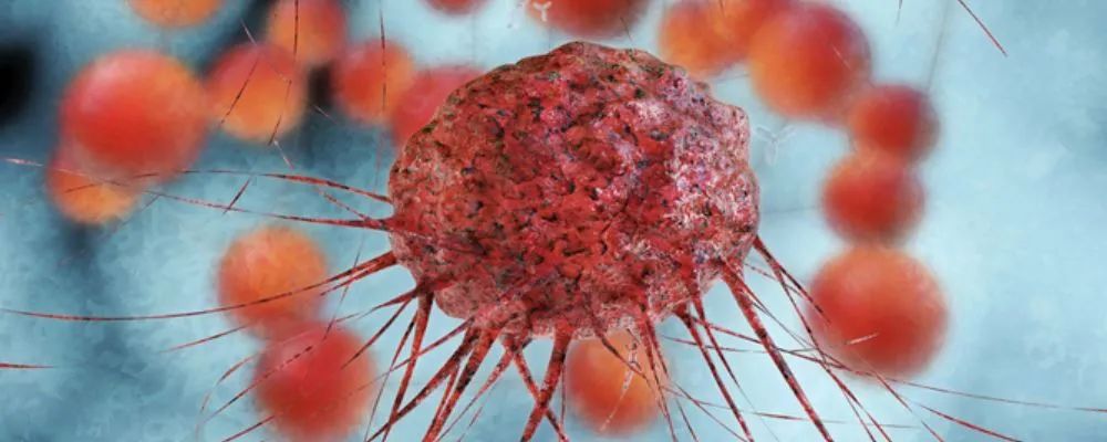 预防艾滋病的八大原则对待性要严谨