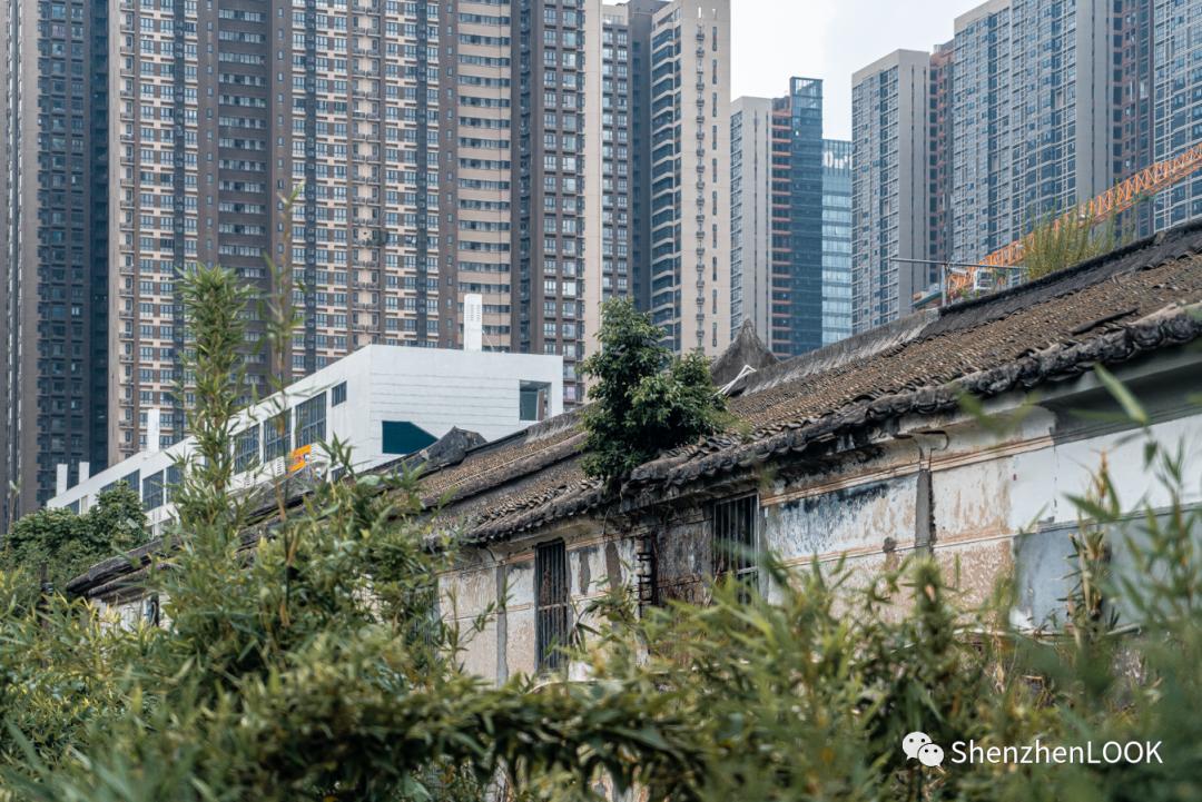 龙岗中心城park,live龙岗中心城