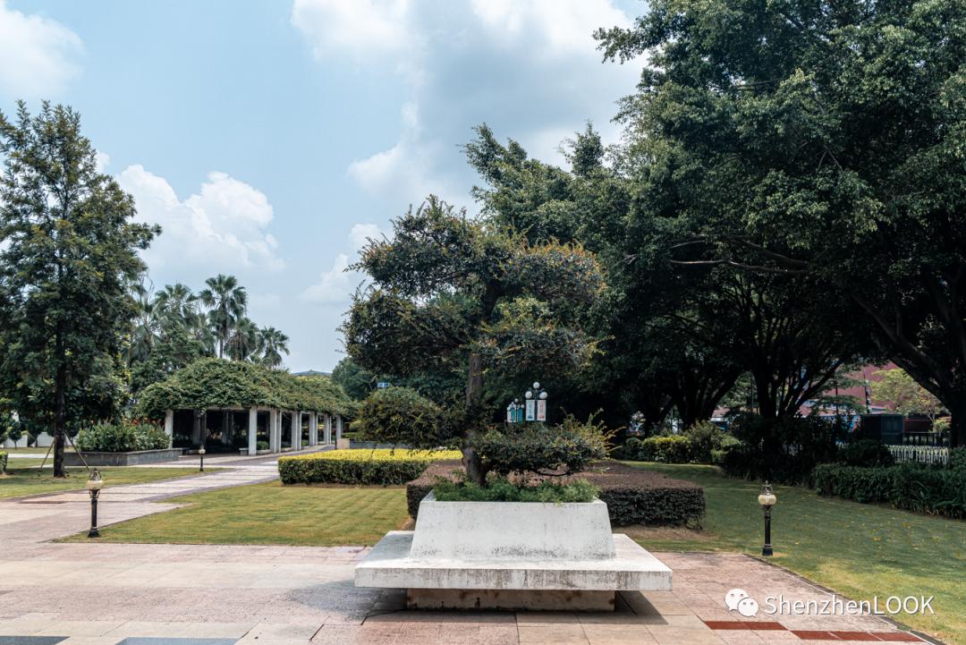 龙岗中心城park,live龙岗中心城