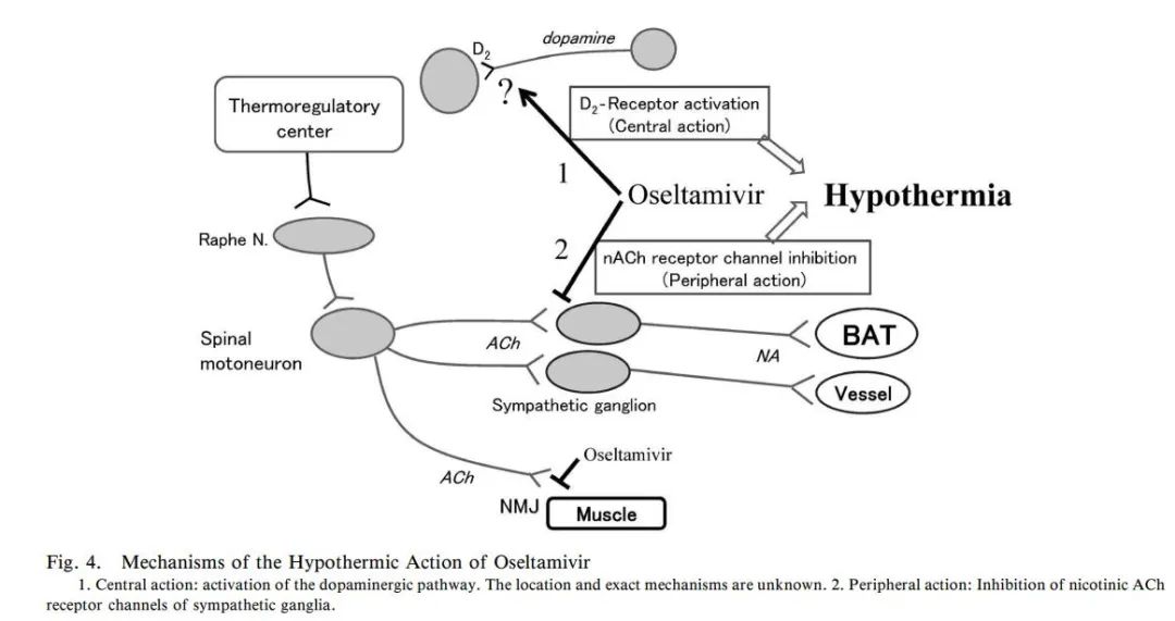 药物不良反应发烧怎么办,药物不良反应是怎么回事