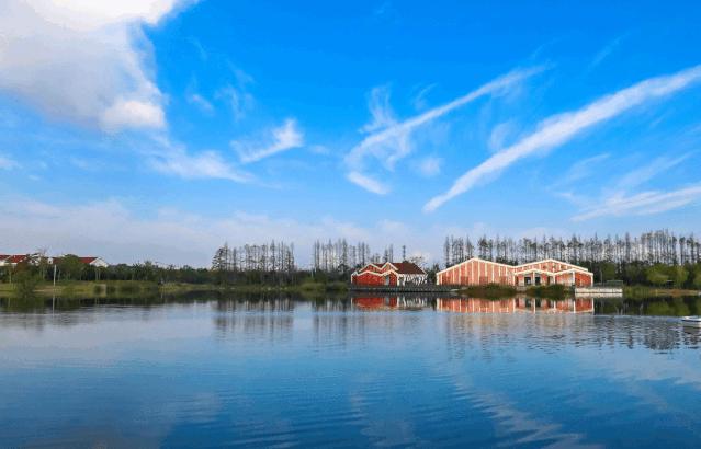 听说没解禁的你们在等上海大促，大波的酒店美食，这就来了