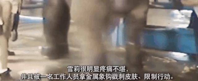 被铁链绑住，注射避孕药，连续伺候几百人后，她挣扎着死去……