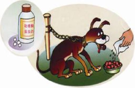 地方病防治宣传核心信息—碘缺乏病、包虫病、地方性氟中毒