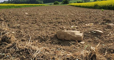 自然资源部违法案件查处工作,自然资源部67个违法违规典型