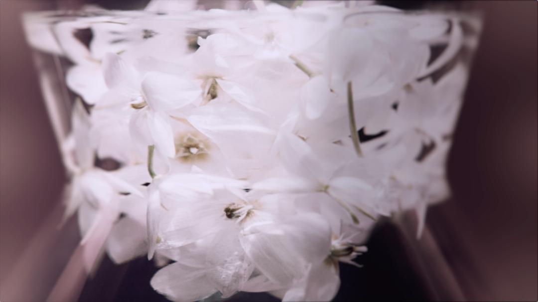 护肤|听说护肤品里TA最冤了