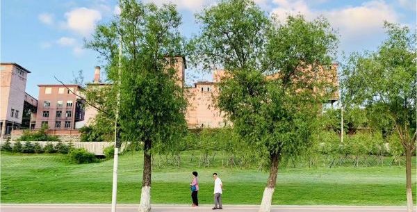 政研院｜城市瘦身：从鹤岗说起