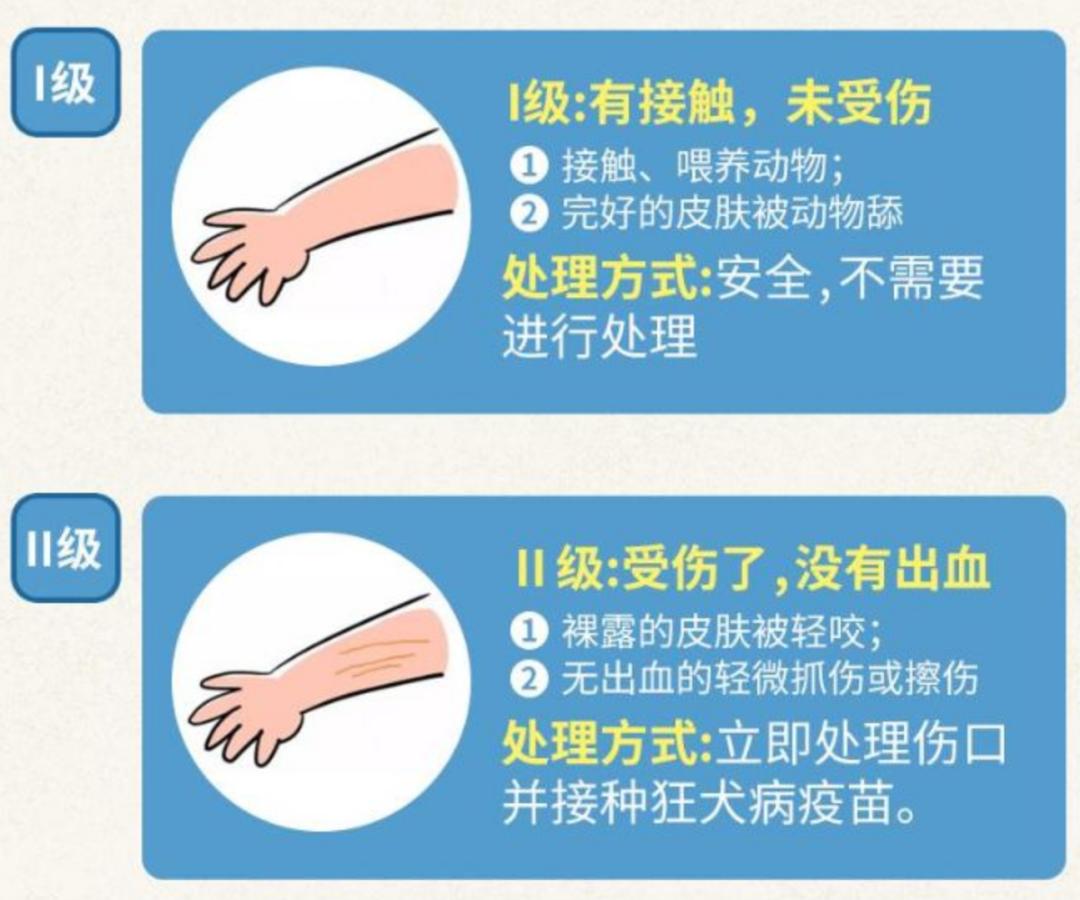 狂犬病的奇谈怪论,关于狂犬病的哲学思考