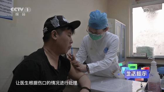 被动物咬伤的正确处理方法,被动物抓伤有什么症状