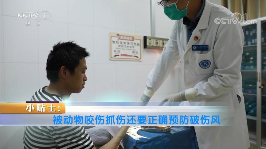 被动物咬伤的正确处理方法,被动物抓伤有什么症状