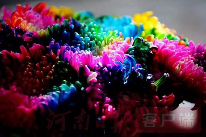 开封国庆节旅行攻略最新,开封十一旅游攻略