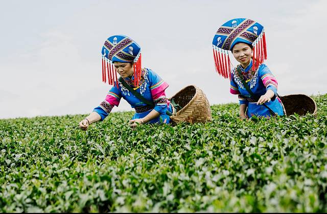 南宁后花园上林旅游景点,世界长寿之乡广西