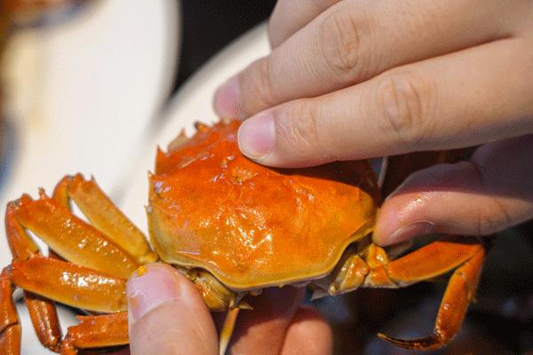 听说没解禁的你们在等上海大促，大波的酒店美食，这就来了