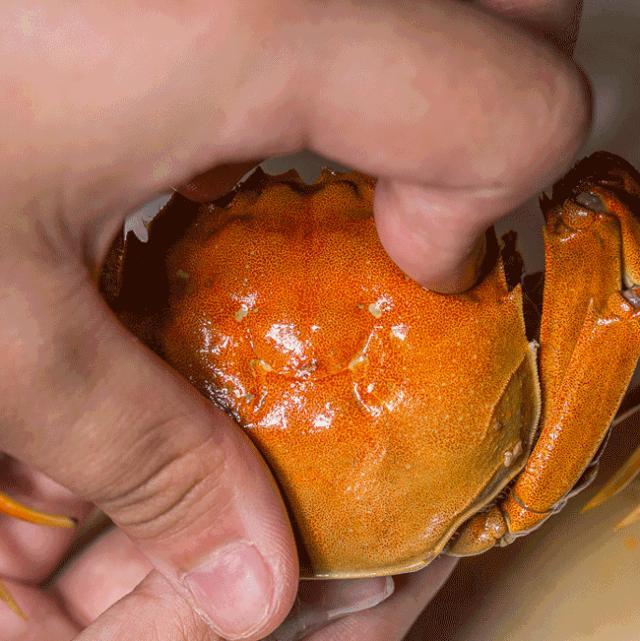 听说没解禁的你们在等上海大促，大波的酒店美食，这就来了