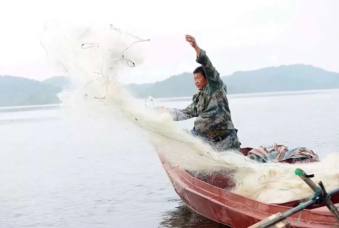 北京最好吃的鱼推荐,京郊哪里的鱼比较好吃