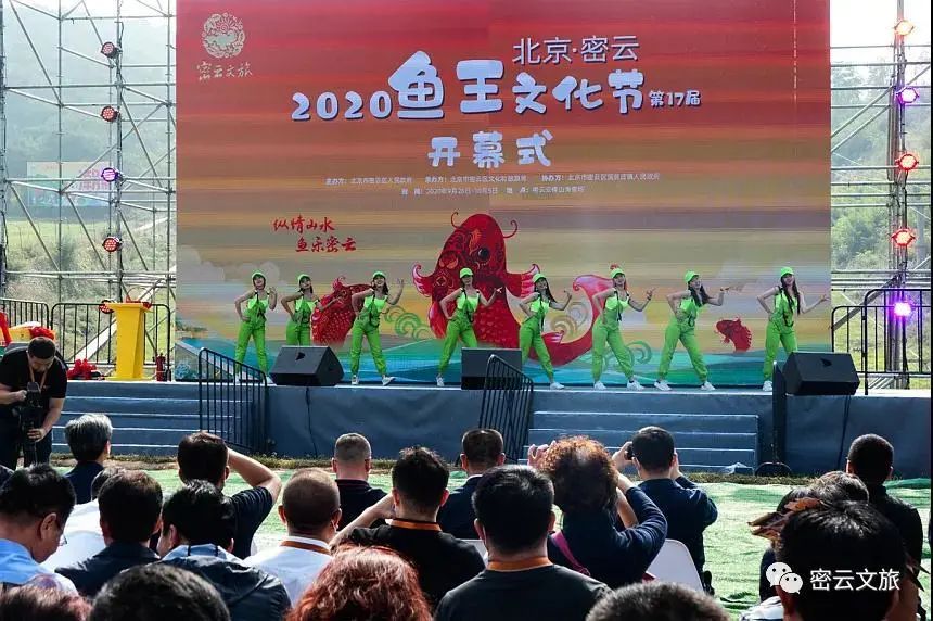 北京最好吃的鱼推荐,京郊哪里的鱼比较好吃