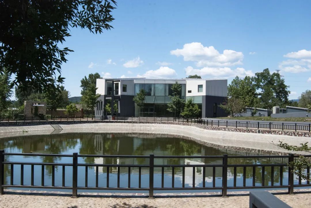 北京最好吃的鱼推荐,京郊哪里的鱼比较好吃