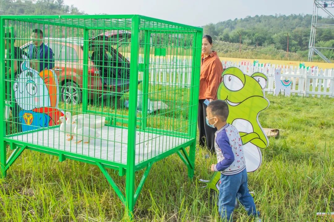 北京最好吃的鱼推荐,京郊哪里的鱼比较好吃