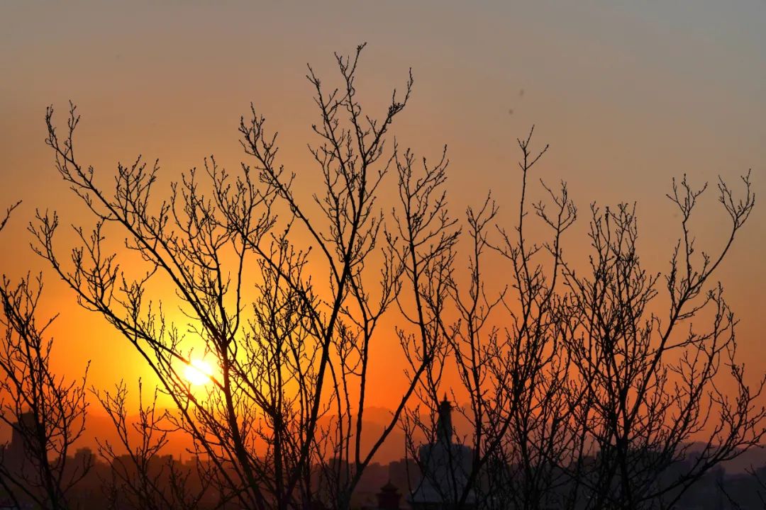 一次“生物－心理－社会”联合咨询的探索||渡过
