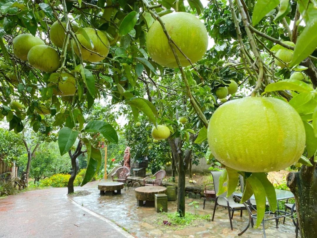 广汉哪里有好吃的地方,广汉有什么好吃的推荐