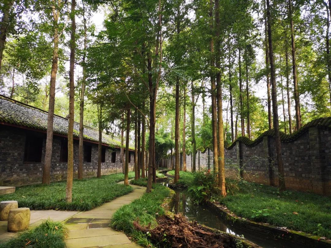 广汉哪里有好吃的地方,广汉有什么好吃的推荐