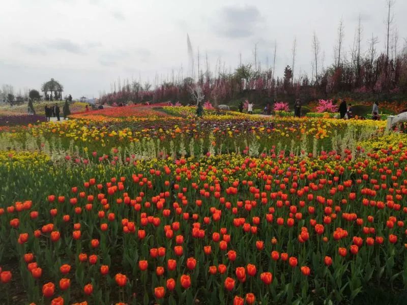 广汉哪里有好吃的地方,广汉有什么好吃的推荐