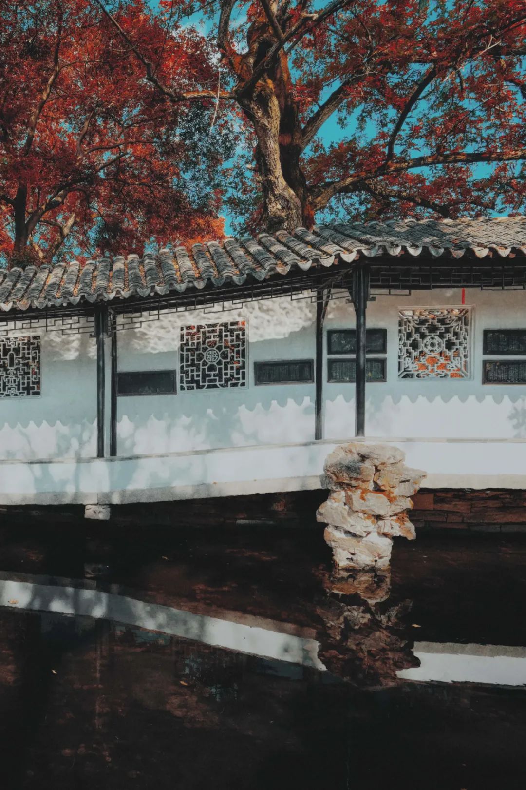 苏州是哪个省的城市啊,苏州一座充满江南小调的城市