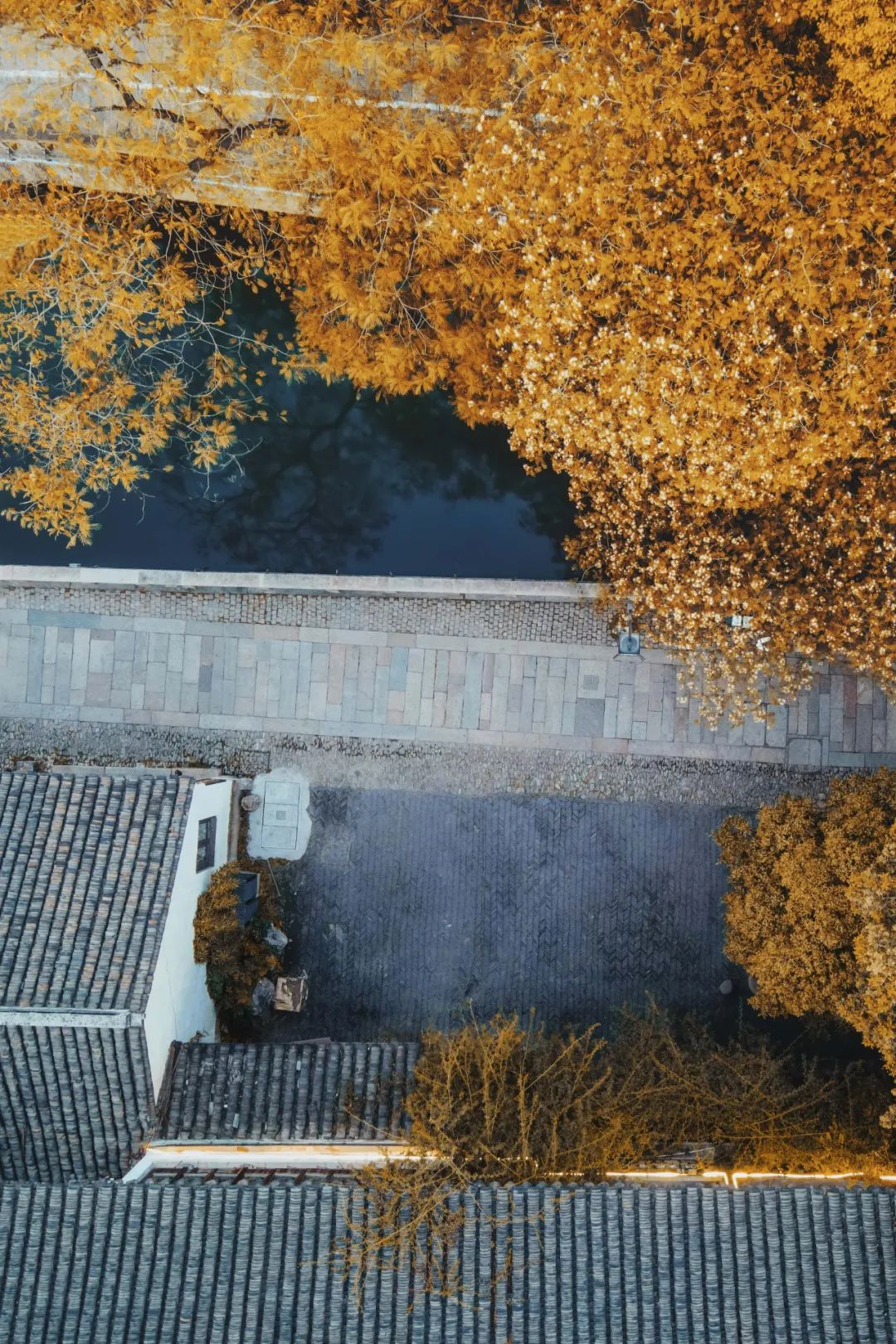 苏州是哪个省的城市啊,苏州一座充满江南小调的城市