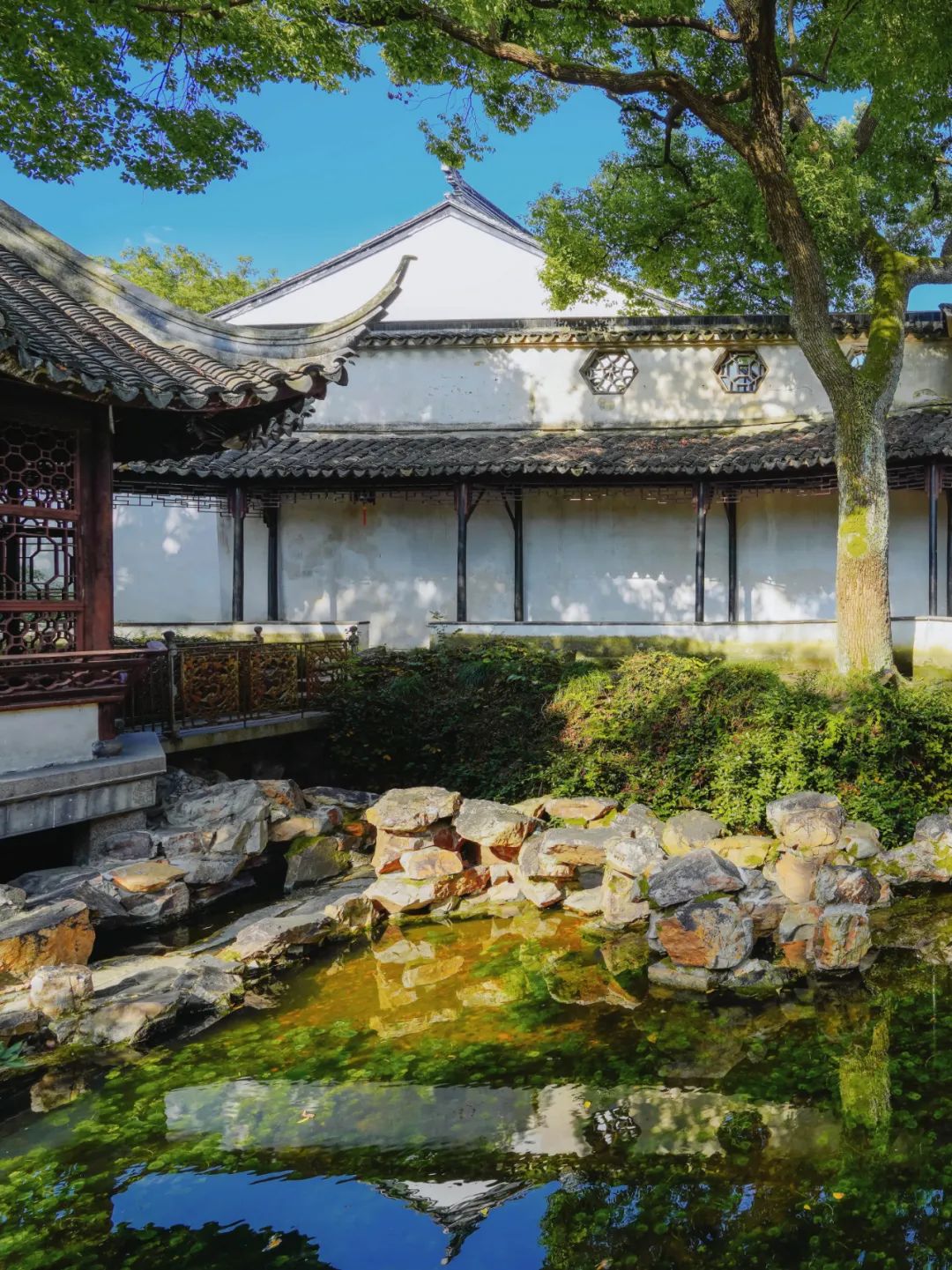 苏州是哪个省的城市啊,苏州一座充满江南小调的城市