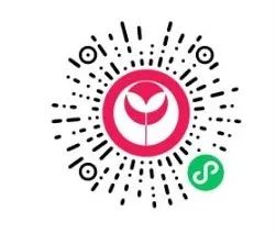 学语言必读的十本书,最值得推荐的经典语言书